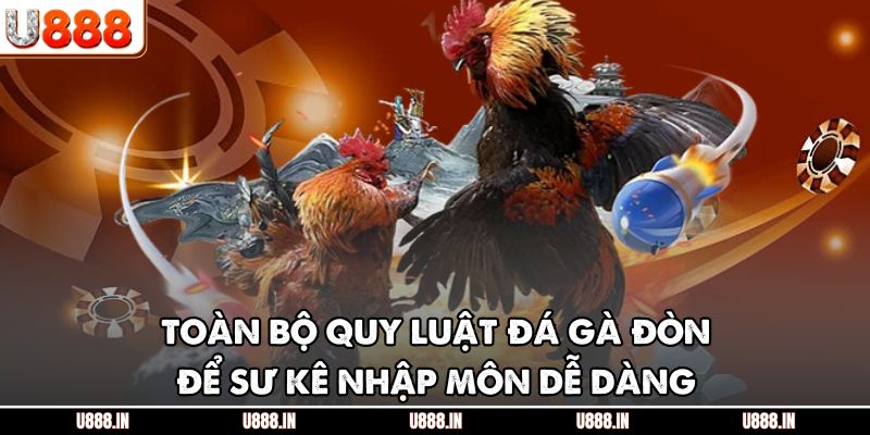 Toàn bộ quy luật đá gà đòn để sư kê nhập môn dễ dàng